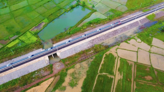 【工视频】发现最美铁路•占芭花开友谊路|与“发现团”一起奔赴山川之�? title=