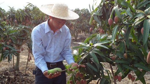 劳模风采·2020年全国劳�?#32;| 邢福甫：返乡种植能手为振�? title=