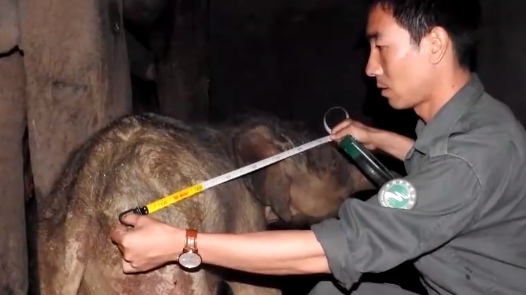 2022最美职�? title=