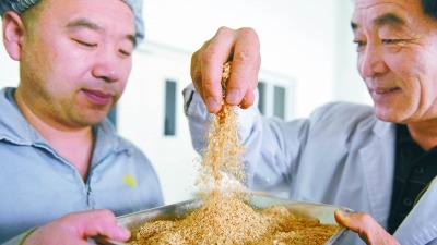 工匠汇·第一届北京大工匠｜于葆墀：将“百草” 变良药