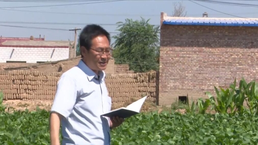劳模故事·甘肃劳模丨张国宏：35年初心不改 用汗水写就甘肃育种传奇