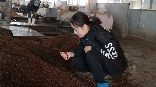 工匠汇·第四届吉林工匠 | 宋晓庆：深耕技艺 坚守匠心酿好酒