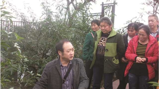 劳模风采·重庆劳模 | 陈秀强：与小小花椒树结缘的“乡土专家�? title=