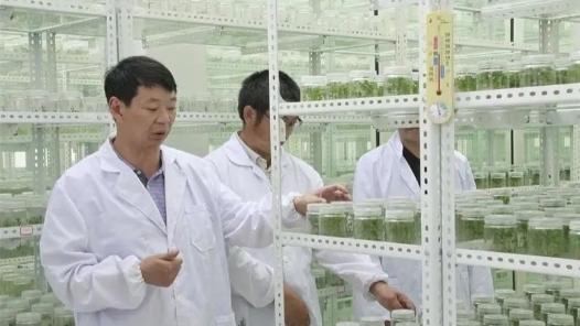 工匠汇�?018年云岭工�?#32;| 胡明成：以科技为民的情怀在乌蒙大地上谱写丰收诗篇