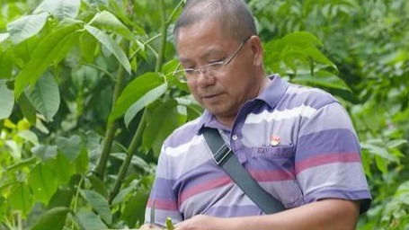 工匠汇�?019年云岭工�?#32;| 曾清贤：扎根林业30余载，只为选育核桃良种，带领农户脱贫致富！
