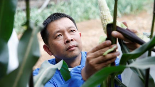 工匠汇�?023年河北大工匠 | 焦宏业：惟精惟一 用匠心为祖国培育一粒好种子