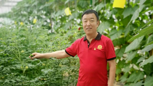 劳模风采·2020年全国劳�?#32;| 窦乃兴：乡村振兴的领路人