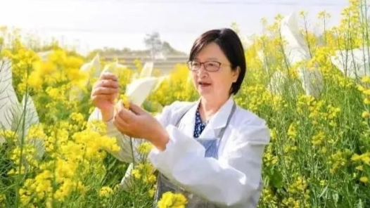 劳模风采·2023年全国五一劳动奖章 | 李莓：跟一株花“较劲�?6�? title=