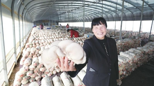 劳模风采·鹤壁市五一劳动奖章 | 胡买岗：领着大伙踏上致富�? title=