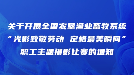 关于开展全国农垦渔业畜牧系统“光影致敬劳?#32;定格最美瞬间”职工主题摄影比赛的通知