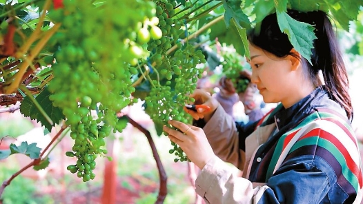 劳模风采·2023年云南省五一劳动奖章 | 李积秀：当好新型职业农�? title=