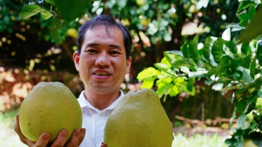 劳模风采·2023年福建劳模｜刘坤泳：扎根沃土柚香�? title=