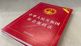 《社会保险经办条例》规定这些行为要负法律责任