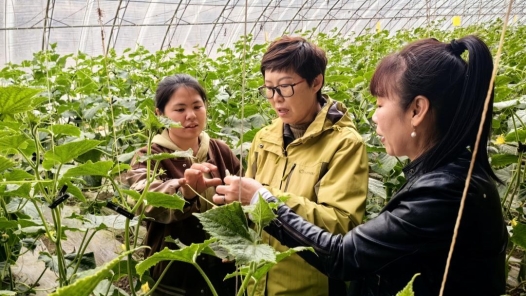 劳模风采·2023年全国五一劳动奖章 | 任冷玲：在黑土地上为农民播种“幸福田�? title=