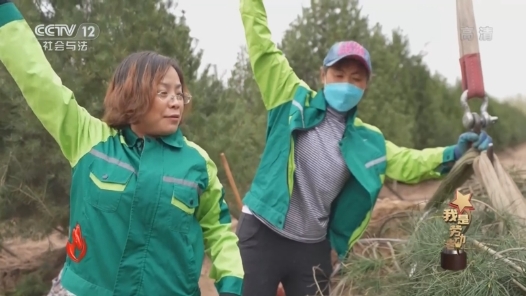 我是劳动者——逐梦园林