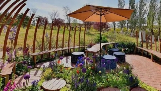 广州海珠区工会提升新业态劳动者休闲空间品质：打造“一米花园”让幸福满园