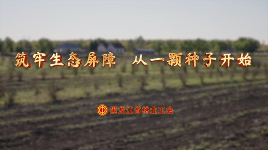 匠人匠心·龙江巾帼工匠 | 胡秀云：筑牢生态屏障 从一颗种子开始