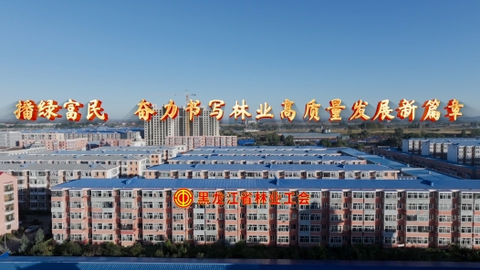 劳模故事·黑龙江劳模丨刘华领：播绿富民 奋力书写林业高质量发展新篇章