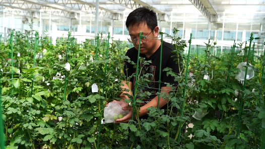 匠人匠心·内蒙古自治区第七届“北疆工匠”｜刘杰：给马铃薯装上“中国芯�? title=