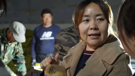 匠人匠心·内蒙古自治区第七届“北疆工匠”｜吕文霞：用一粒种子助力乡村振�? title=