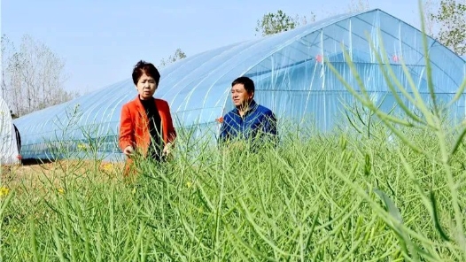 劳模风采·2022年安徽劳模｜赵献祥：现代农业当标�?#32;牢记使命助脱�? title=