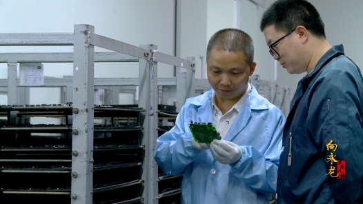 匠人匠心·第四届四川工�?#32;| 向永龙：紧跟科技前沿 坚持守正创新