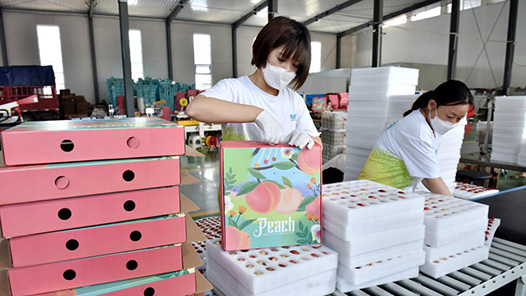 拉萨市达孜区建立就业创业“超市”连锁店