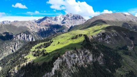 劳模风采·2011年甘肃省五一劳动奖章｜仁青草：雪域高原一枝蓝色“格桑花�? title=