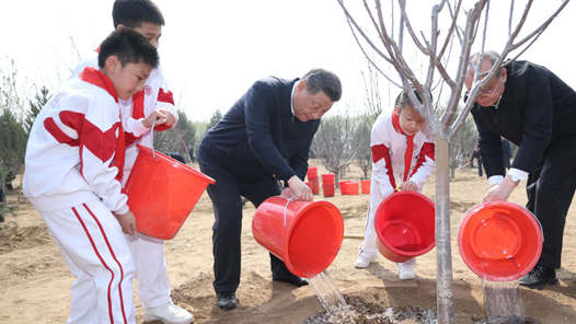 ?视点|习近平:为建设美丽中国增绿添彩 ?视点|习近平:为建设美丽中国增绿添彩