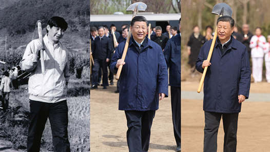 第一观察·瞬间|劳动本?#32;为民初心 第一观察·瞬间|劳动本?#32;为民初心