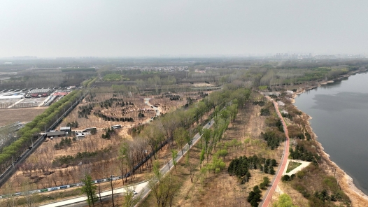 时政新闻眼|再次参加首都义务植树活动,习近平强调绿化祖国要三者并? title=