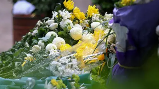 如何对孩子谈死亡？清明时节是开启生命教育的好时? title=