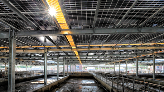 天津：污水处理厂撑起“光伏伞? title=