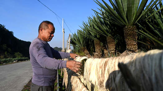 生态修复绘就绿色“画卷? title=