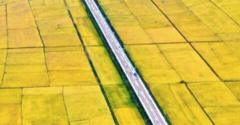 联合国粮农组织食品价格指?月环比上? title=