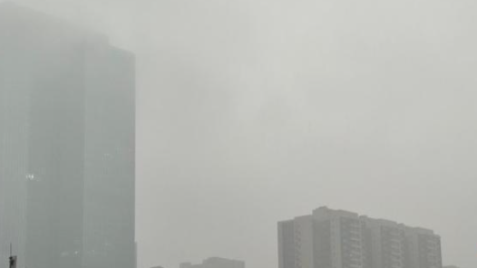 珠江流域3条河流发生超警洪? title=