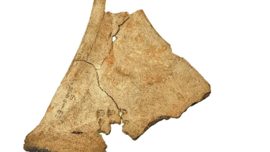 豫博里的中国丨甲骨占卜过程，你了解吗