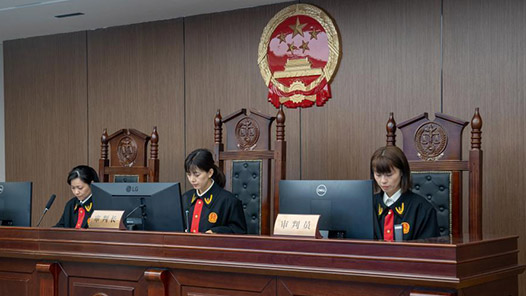 为困难群体依法维权“撑腰? title=