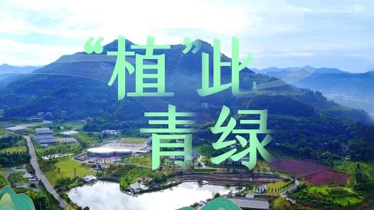 微视频|“植”此青绿 微视频|“植”此青绿