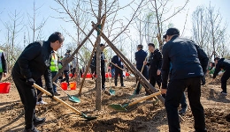 2024年共和国部长义务植树活动在京举行