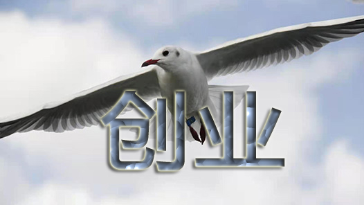 河北省开启“贷你创业”助力行? title=