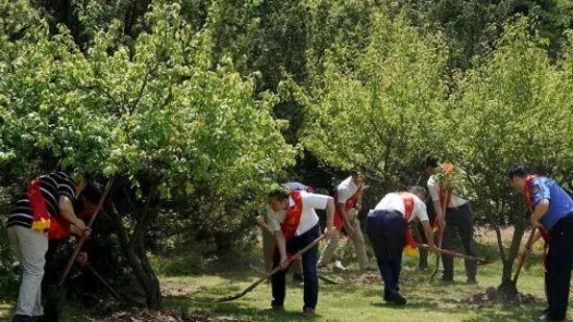 肇庆市总工会开展“劳模林”植树活�? title=