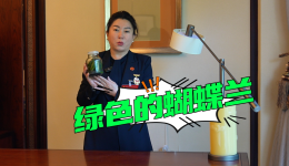 代表的“秘密武器”丨绿色蝴蝶兰的科技与“狠活? title=