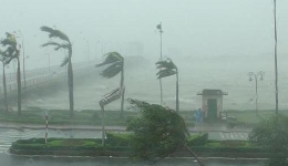 暴雨来临，这份防护指南请收好? title=